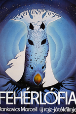 O Filho da Égua Branca (Fehérlófia)