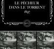 Le pêcheur dans le torrent