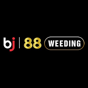 Foto de perfil de BJ88