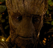 Groot