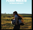 Perro Muerto - Cachorro Morto
