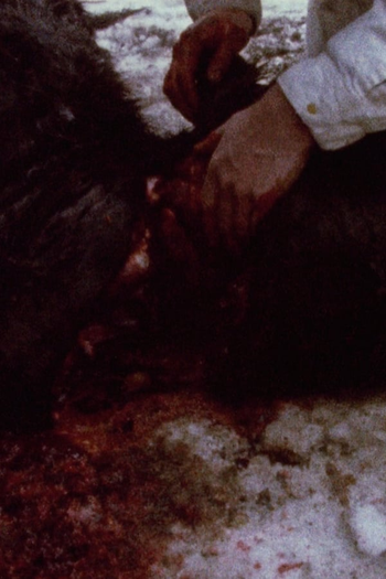 Poster de Curta Pan 697 (1974)