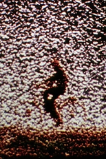 Remains to Be Seen (Remains to Be Seen)