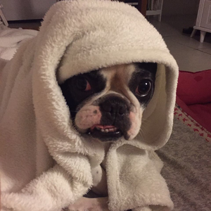 Foto de perfil de Nicole