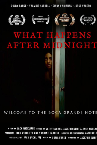 Poster 1 de Curta What Happens After Midnight (2023)