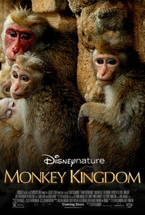 O Reino dos Primatas - Poster / Capa / Cartaz - Oficial 3