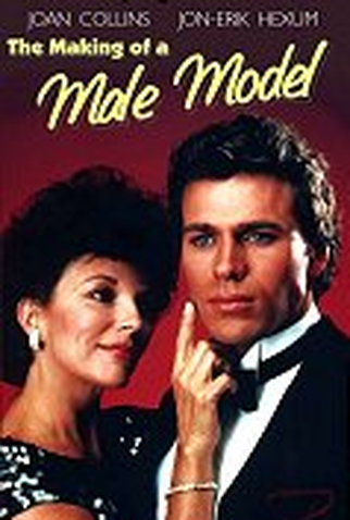 Poster 1 de Filme Criando Um Top Model (1983)