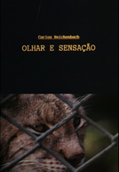 Olhar e Sensação (Olhar e Sensação)