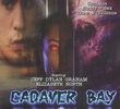 Cadaver Bay
