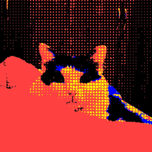 Foto de perfil de miao