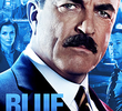 Blue Bloods - Sangue Azul (7ª Temporada)