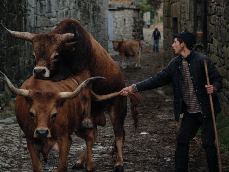 Foto 3 de Volta à Terra