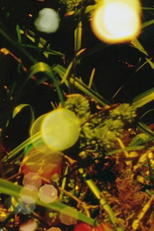 Words of Mercury (Words of Mercury)