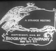 A Strange Meeting