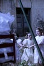 Crisálidas (Crisálidas)