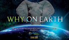 Why On Earth Trailer