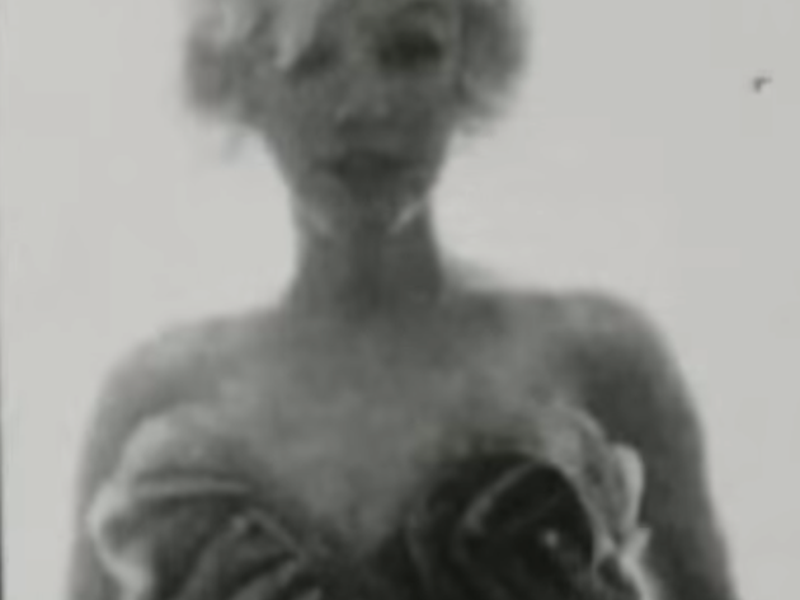 Foto 2 de Filmarilyn