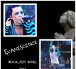 Evanescence Rock Am Ring 2003