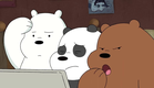 We Bare Bears - panda`s profile pic (short episode)