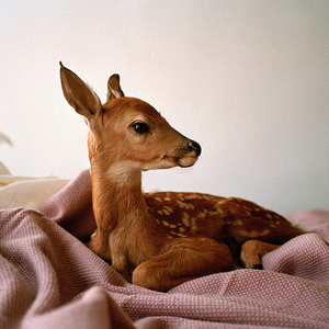 Foto de perfil de Bárbara