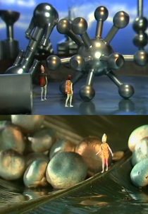 Az orchideák bolygója (Az orchideák bolygója)