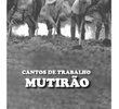 Cantos de Trabalho - Mutirão