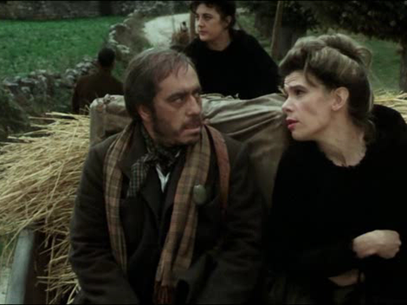 Foto 4 de El bosque del lobo