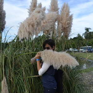 Foto de perfil de Mariana Guimarães