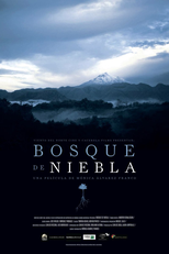 Bosque de Névoa (Bosque de Niebla)