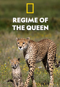 Mamães Felinas: Lições de Sobrevivência (Regime of the Queen)