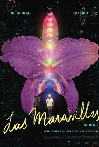 Poster 1 de Curta Back to Las Maravillas (2024)