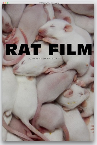 Poster 1 de Filme Rat Film (2016)