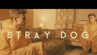 Stray Dog - Bertie Gilbert Short Film Trailer