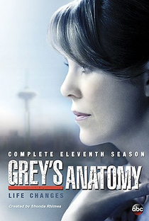 A Anatomia de Grey (11ª Temporada) - Poster / Capa / Cartaz - Oficial 3