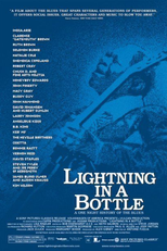 A História do Blues (Lightning in a Bottle)