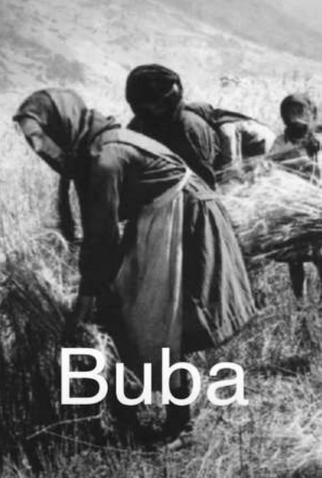 Poster 1 de Curta Buba (1930)