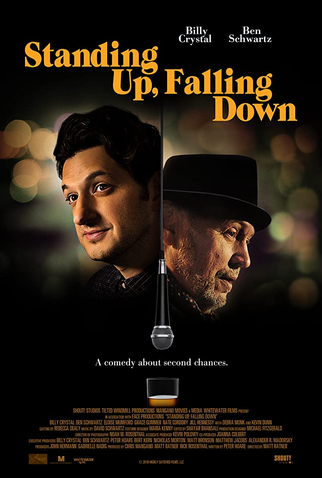 Poster 2 de Filme Caindo em Pé (2019)