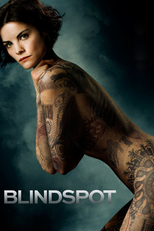 Blindspot (Blindspot)
