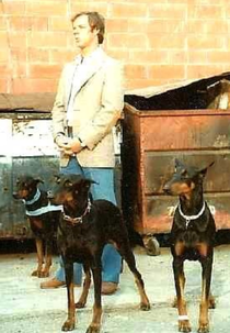 Alex and the Doberman Gang (Alex and the Doberman Gang)