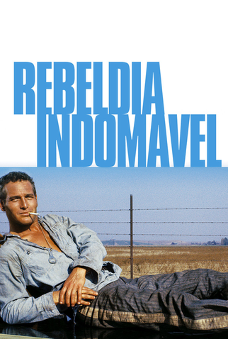 Poster 16 de Filme Rebeldia Indomável (1967)