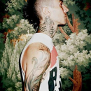 Foto de perfil de Augusto M. Luiz