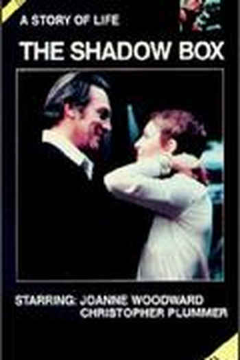 Poster de Filme A Caixa de Surpresas (1980)