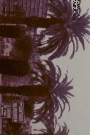  de Curta América Morena I (1977)