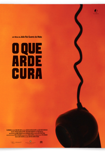 O que arde cura (O que arde cura)