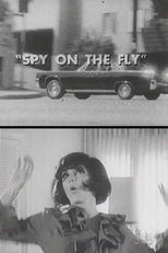 Spy on the Fly (Spy on the Fly)