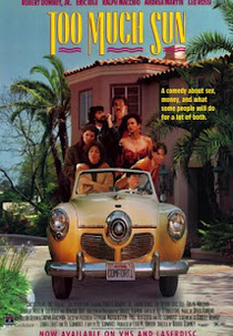 Os Loucos Casais da Califórnia (Too Much Sun)