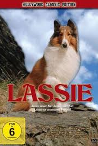 Poster 3 de Filme Lassie: A New Beginning (1978)