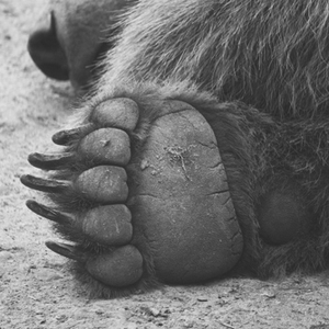 Foto de perfil de Marina