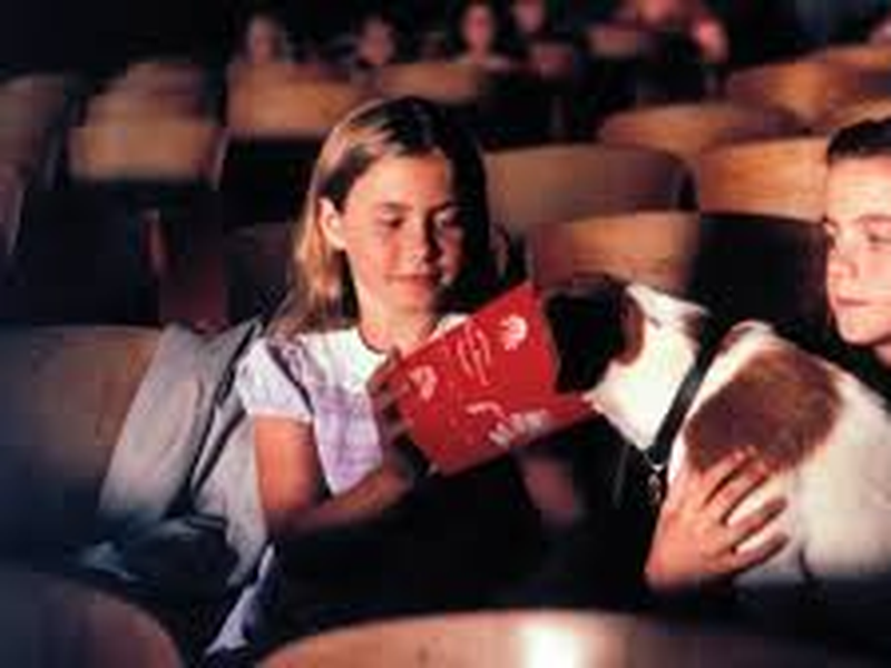 Foto 9 de Meu Cachorro Skip