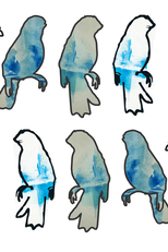 O Pássaro Azul (O Pássaro Azul)